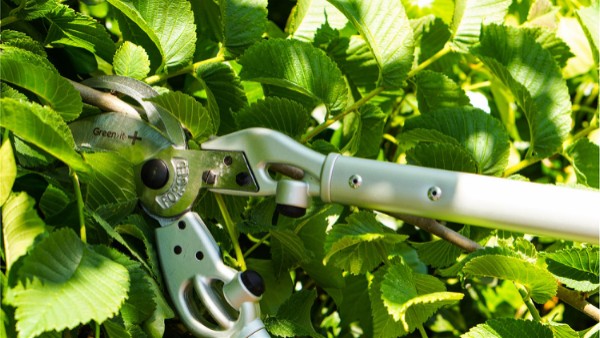 HOME It® pruning shears with side inserts 60 cm