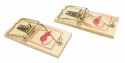 HOME It® snap trap for mice 10 × 4,5 cm. 2 pcs.
