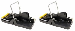Green>it® Mouse trap Powertrap 2-pack
